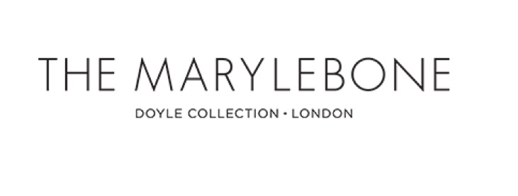 the-marylebone-doyle-collection-log