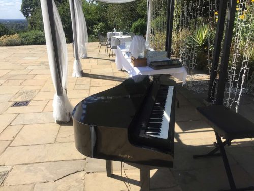 portable-baby-grand-piano-outdoor-wedding-drinks-reception-pembroke-lodge-3